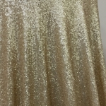 01-soft-gold-sequin